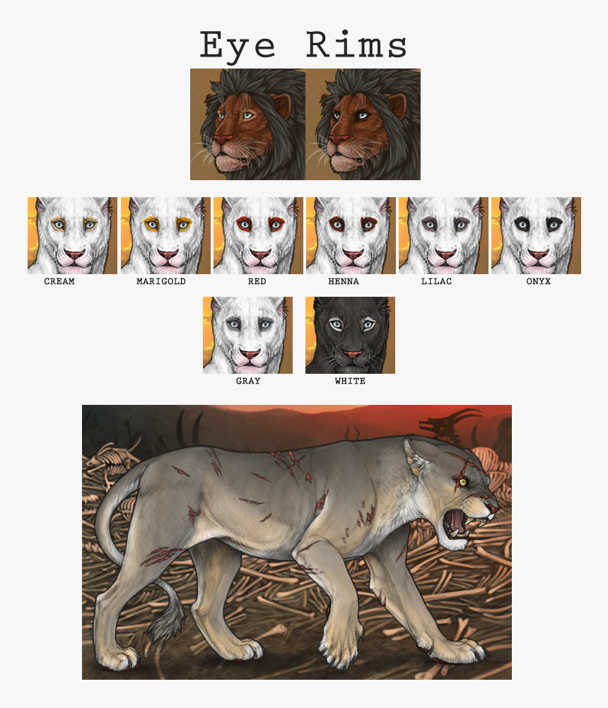 Tiger, HD Png Download