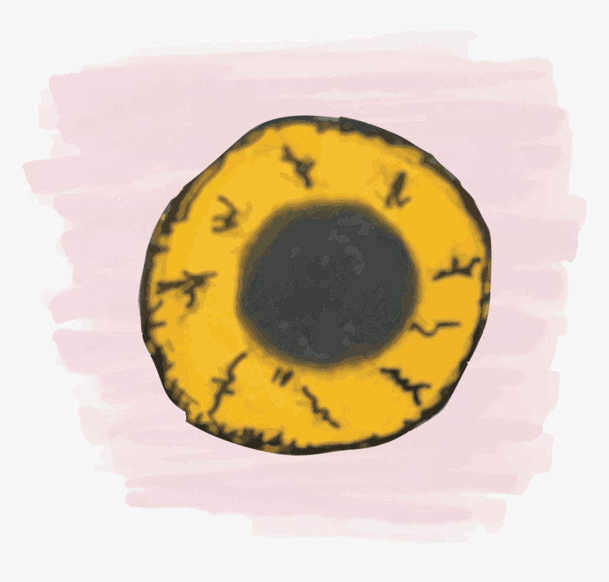 Circle, HD Png Download