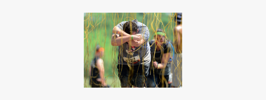 Picture Frame, HD Png Download