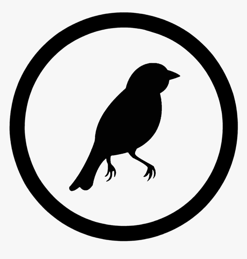 Bird Creatures Life Free Photo - Copyright Symbol, HD Png Download
