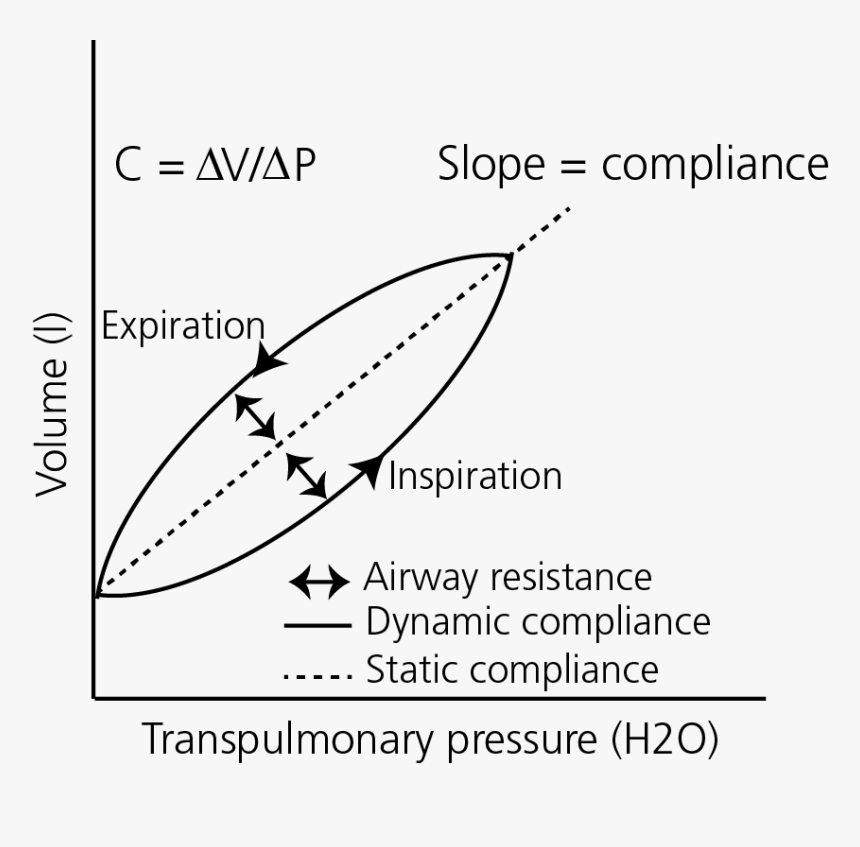 Boat, HD Png Download