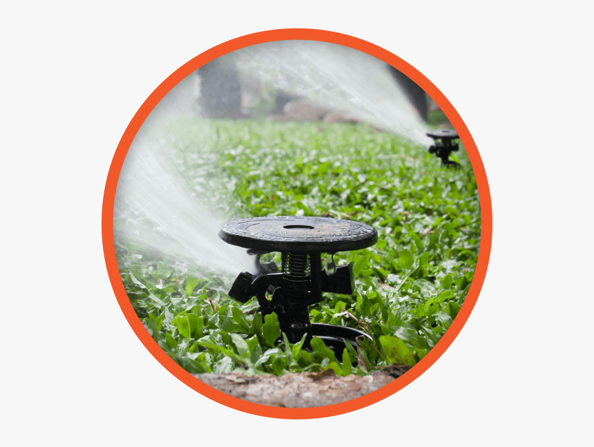Sprinkler Repair In Dallas - Types Of Sprinkler System For Garden, HD Png Download