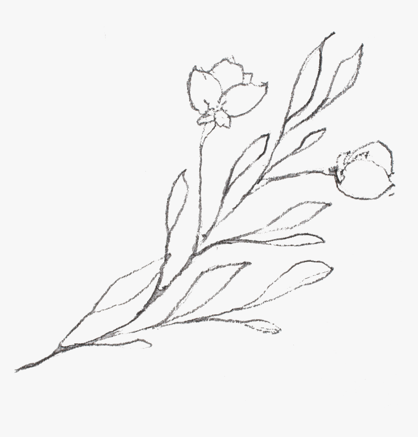 Sketch, HD Png Download