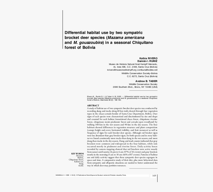 Document, HD Png Download