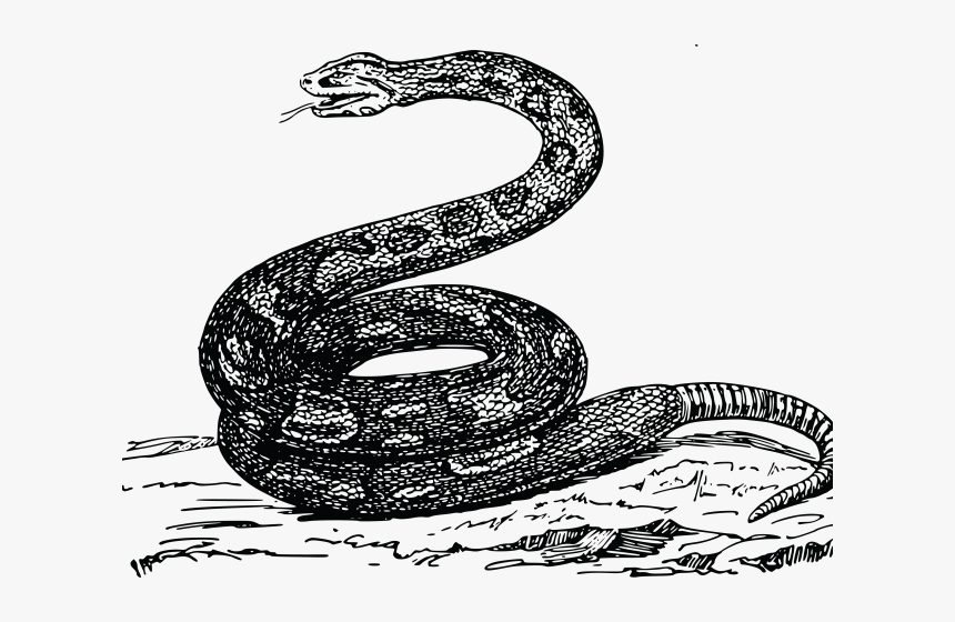 Transparent Clipart Of Snake - Snek Meme Tread On Me, HD Png Download