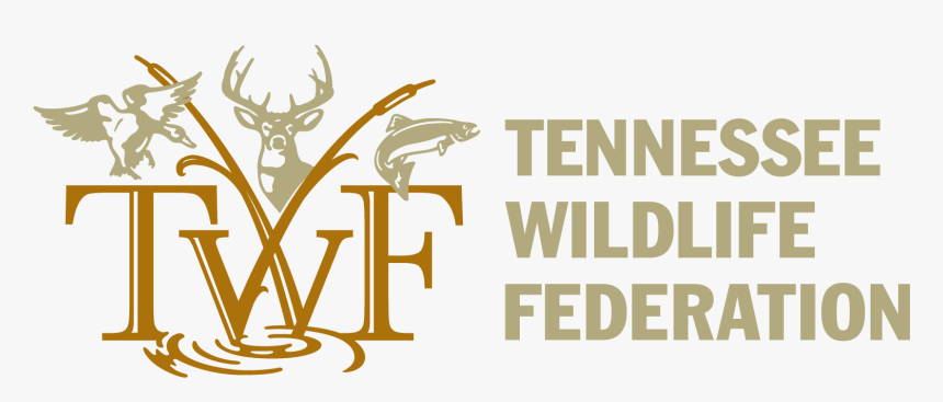 Tennessee Wildlife Federation, HD Png Download