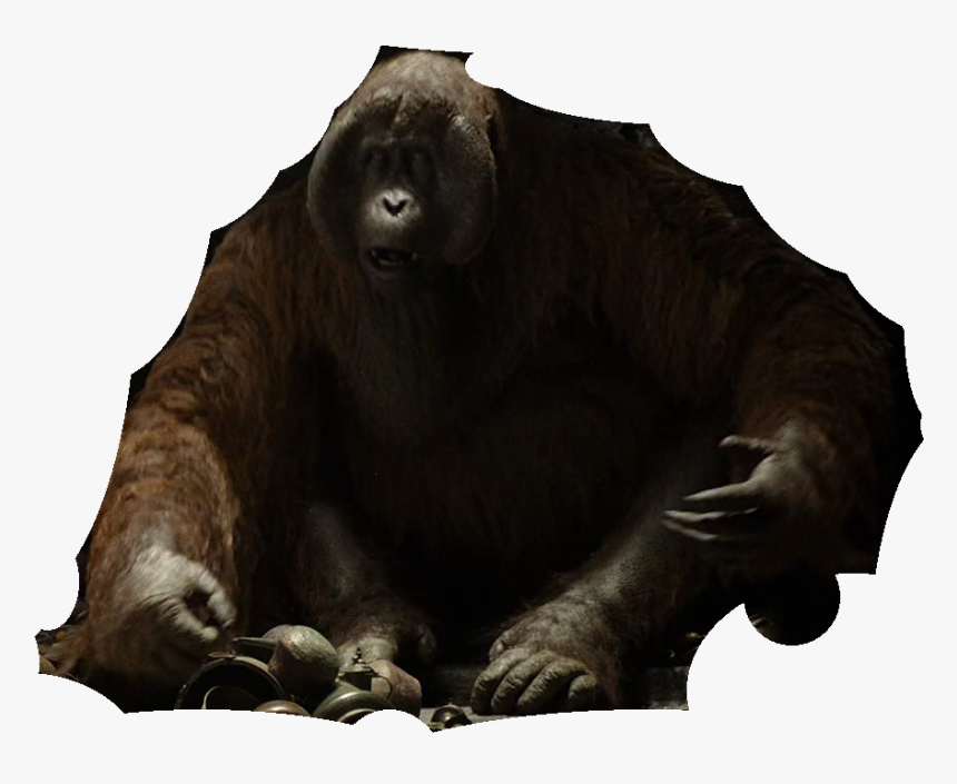 Jungle Book 2016 Disneyscreencaps - Jungle Book 2016 King Louie Png, Transparent Png