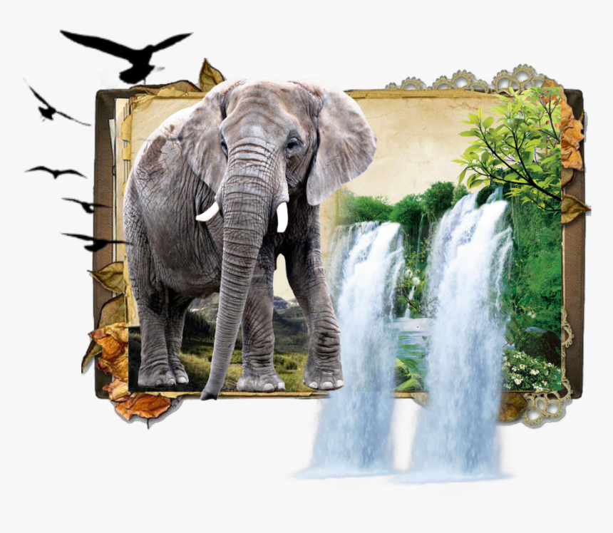 #elephant #jungle #book #dk925 #dk925designs - Book Background Vintage Paper, HD Png Download