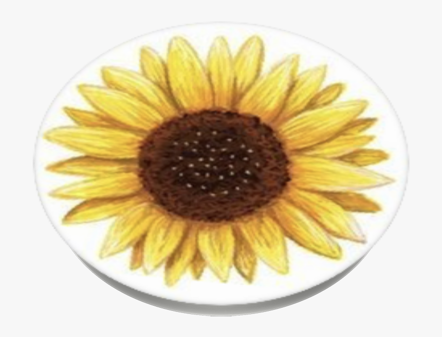 Sunflower Sticker, HD Png Download