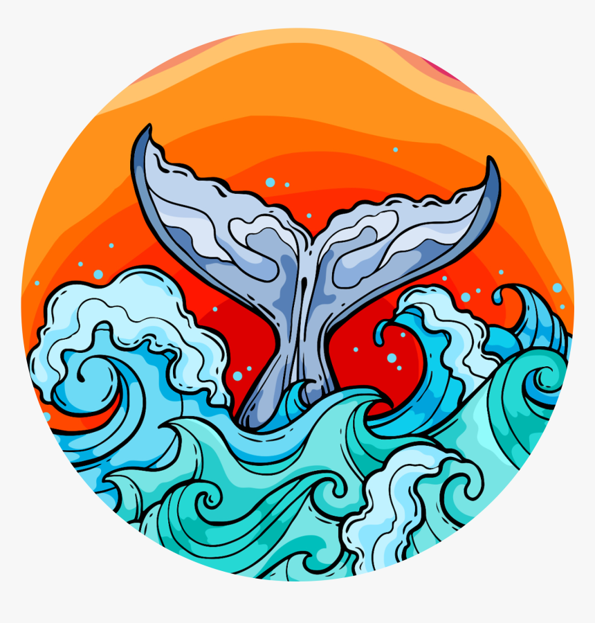 Whale Tail 
 Class Lazyload Lazyload Mirage Featured, HD Png Download