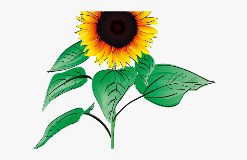 Sunflower Clipart Root - Sunflower Get Well Soon, HD Png Download