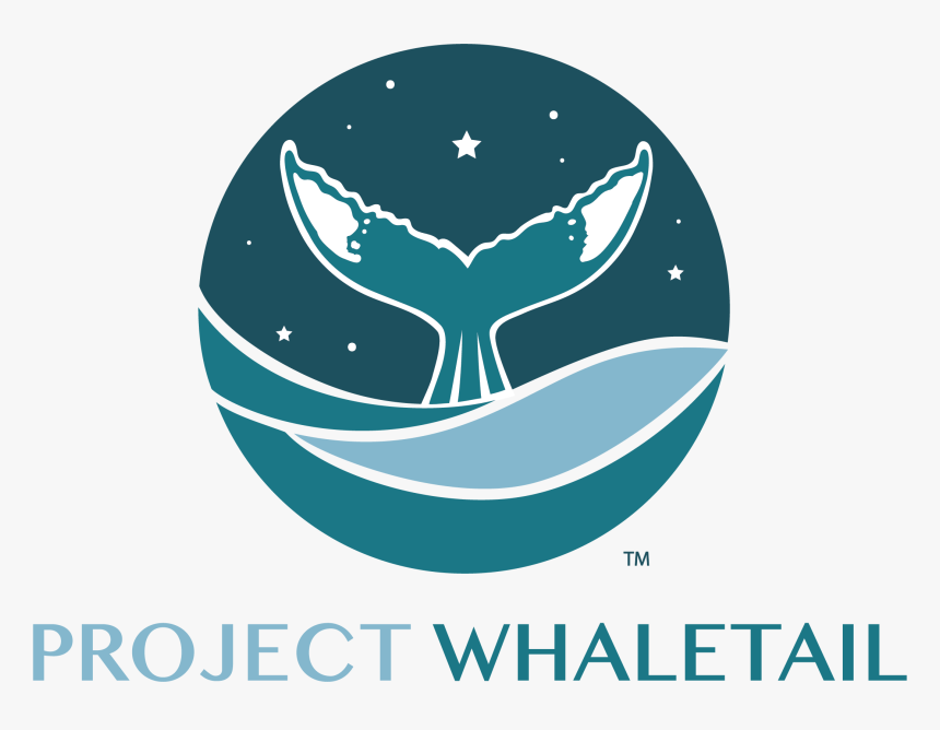 Graphic Design, HD Png Download