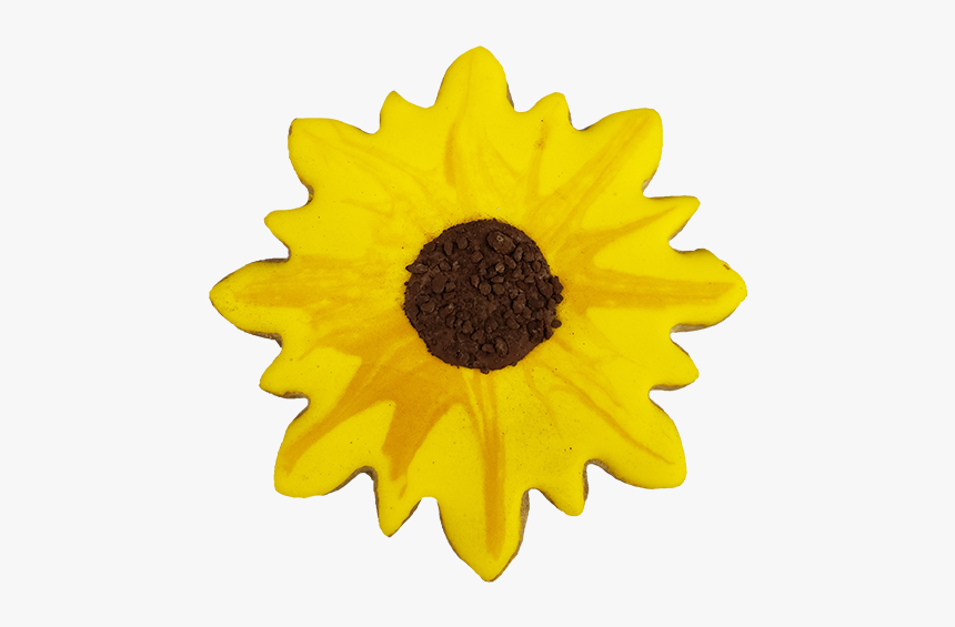 Sunflower Cookie 
 Class - Sunflower, HD Png Download