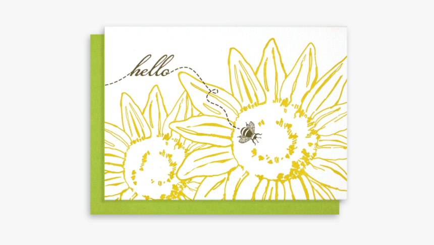 Sunflower, HD Png Download