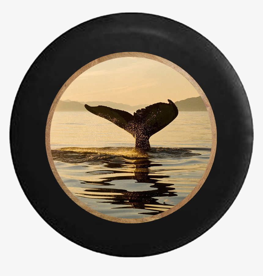 Whale Watching Tail Going Into The Ocean Jeep Camper - Fish, HD Png Download