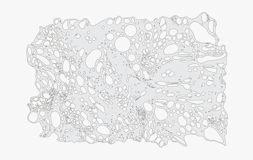 Doily, HD Png Download