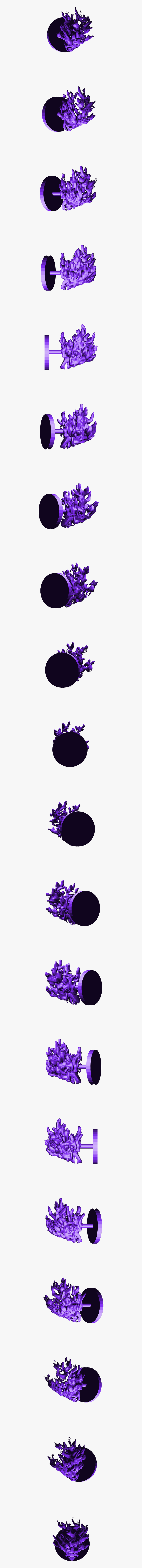 Cut Flowers, HD Png Download