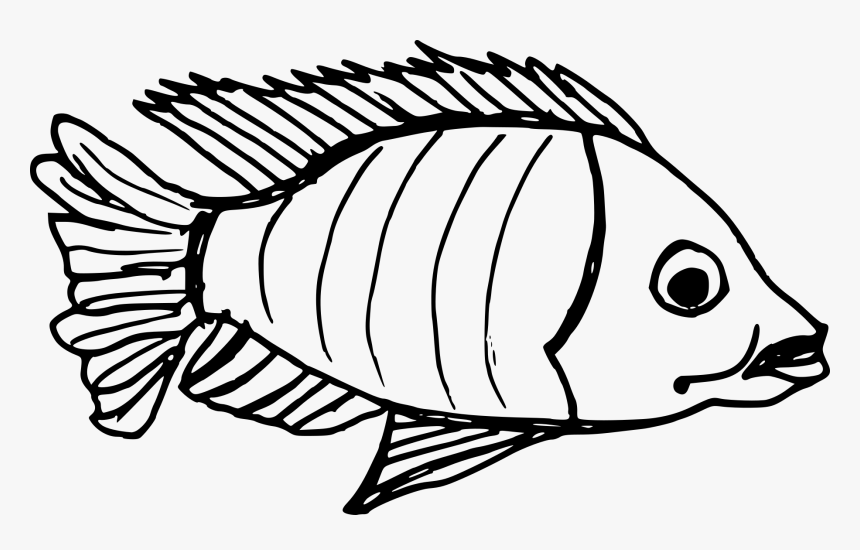 Fish Drawing Png, Transparent Png