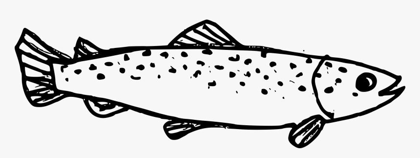 Fish Drawing Transparent, HD Png Download