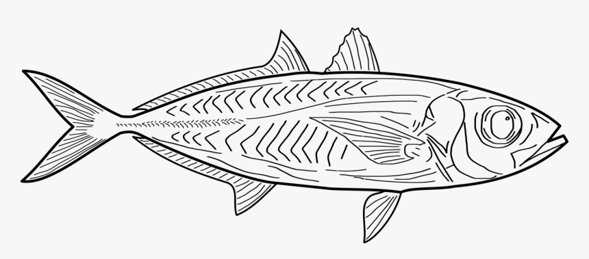 Tekeningen Png, Transparent Png