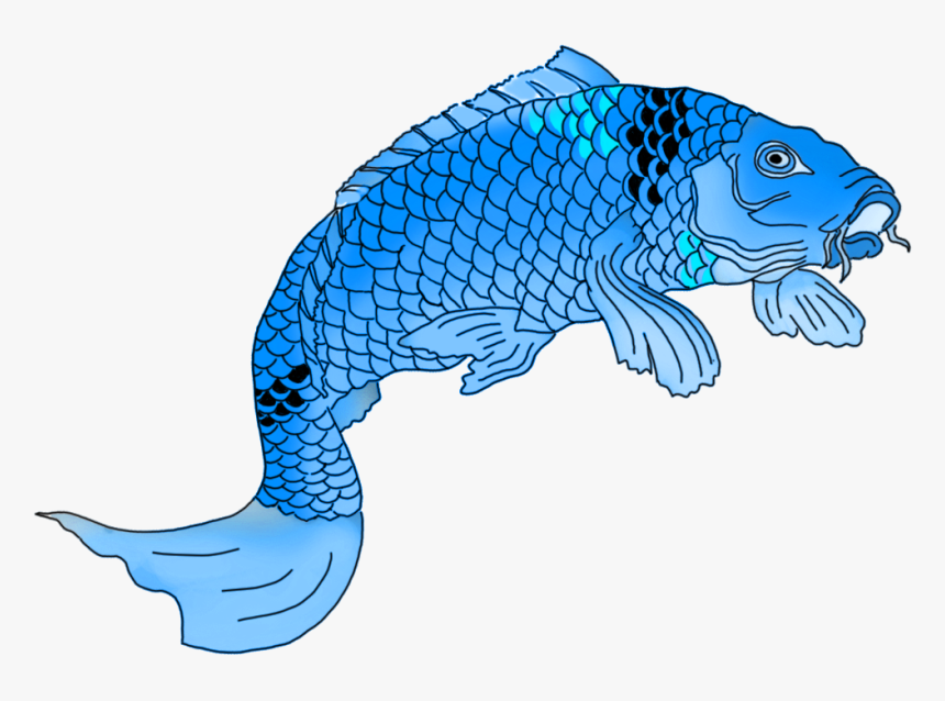 Fish,line Art,fish,clip Art,animal Figure,tail,graphics - Koi Fish Drawing Colored, HD Png Download