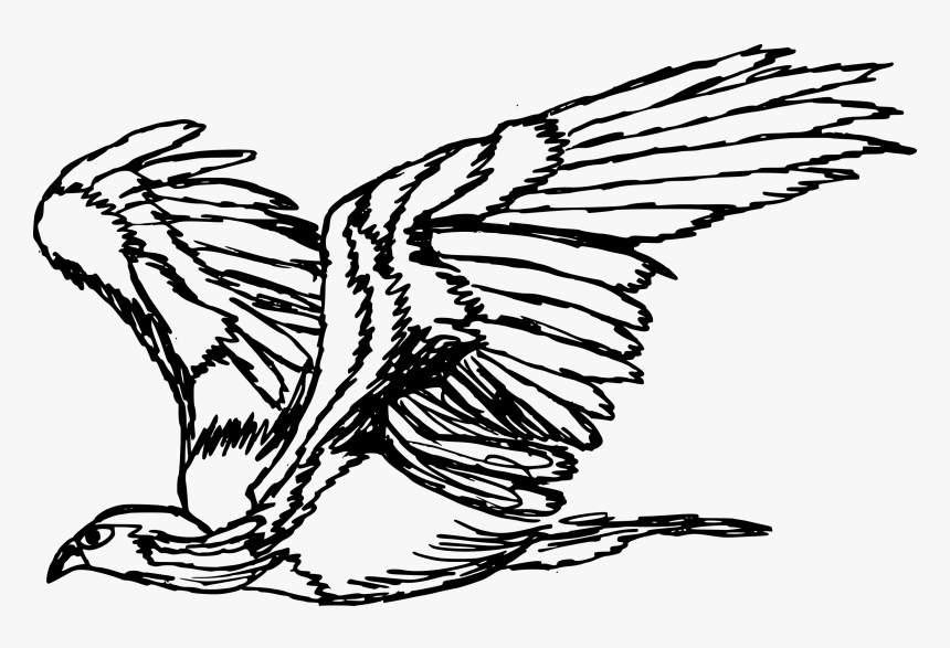 Transparent Fish Drawing Png - Drawing Eagle Transparent, Png Download
