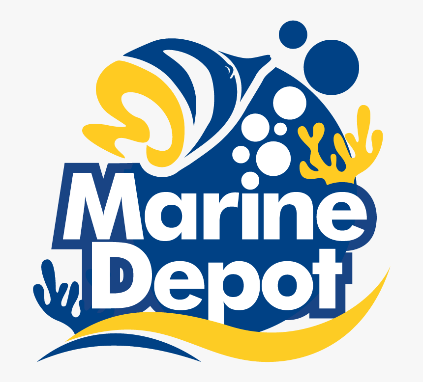 Graphic Design, HD Png Download