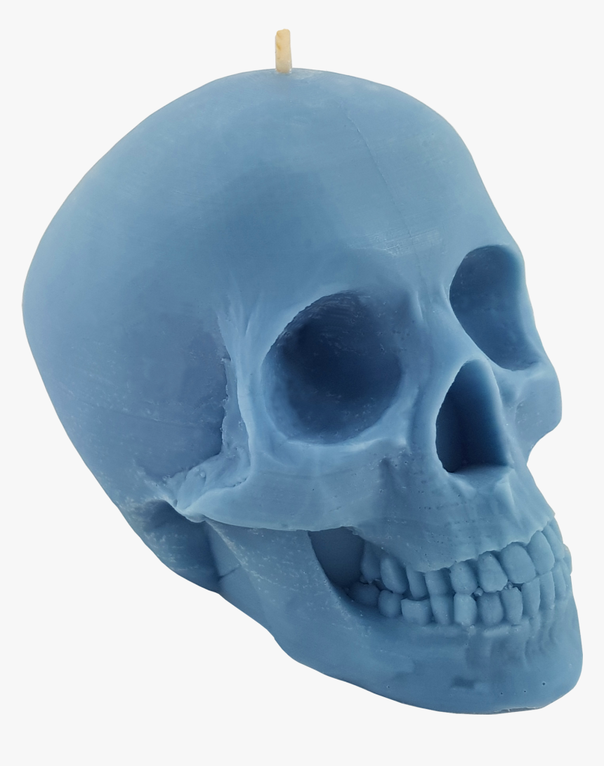 Skull, HD Png Download