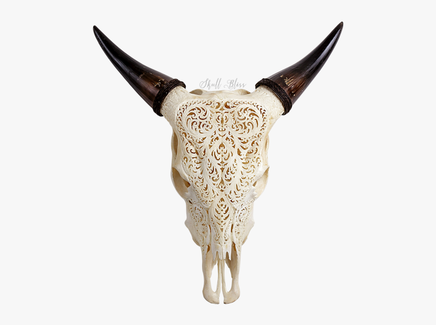 Texas Longhorn English Longhorn Animal Skulls Cow S - Engraved Cow Skull, HD Png Download