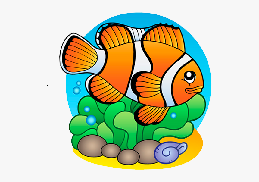 Pez Payaso - Draw On Life Under Water, HD Png Download
