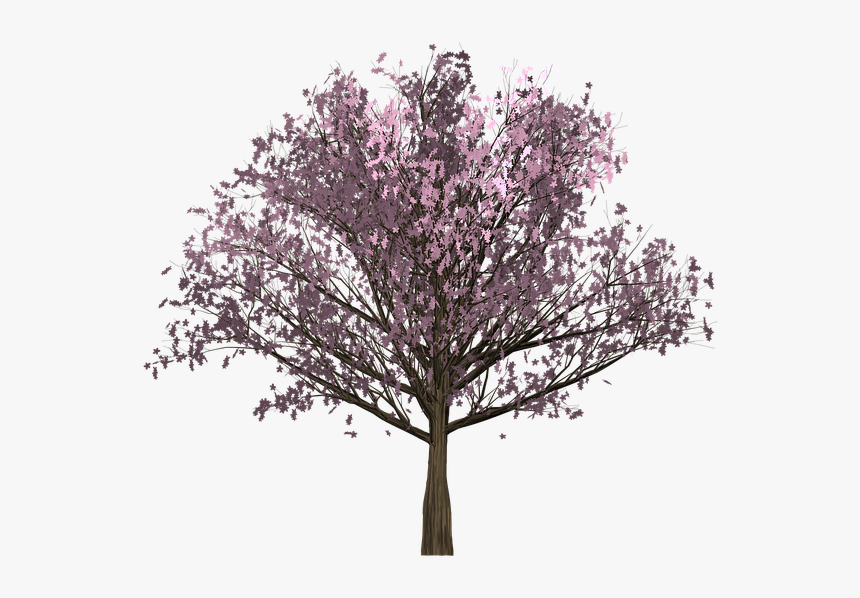 Cherry, Pink, Tree, Painted Tree, Image Painting, Plant - Red Bud, HD Png Download