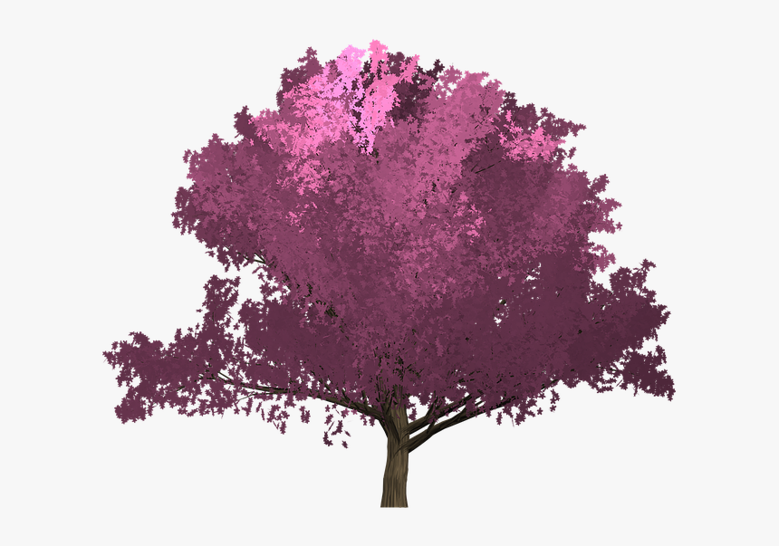 Cherry, Pink, Tree, Painted Tree, Purple - Portadas De Libros Sin Titulo, HD Png Download