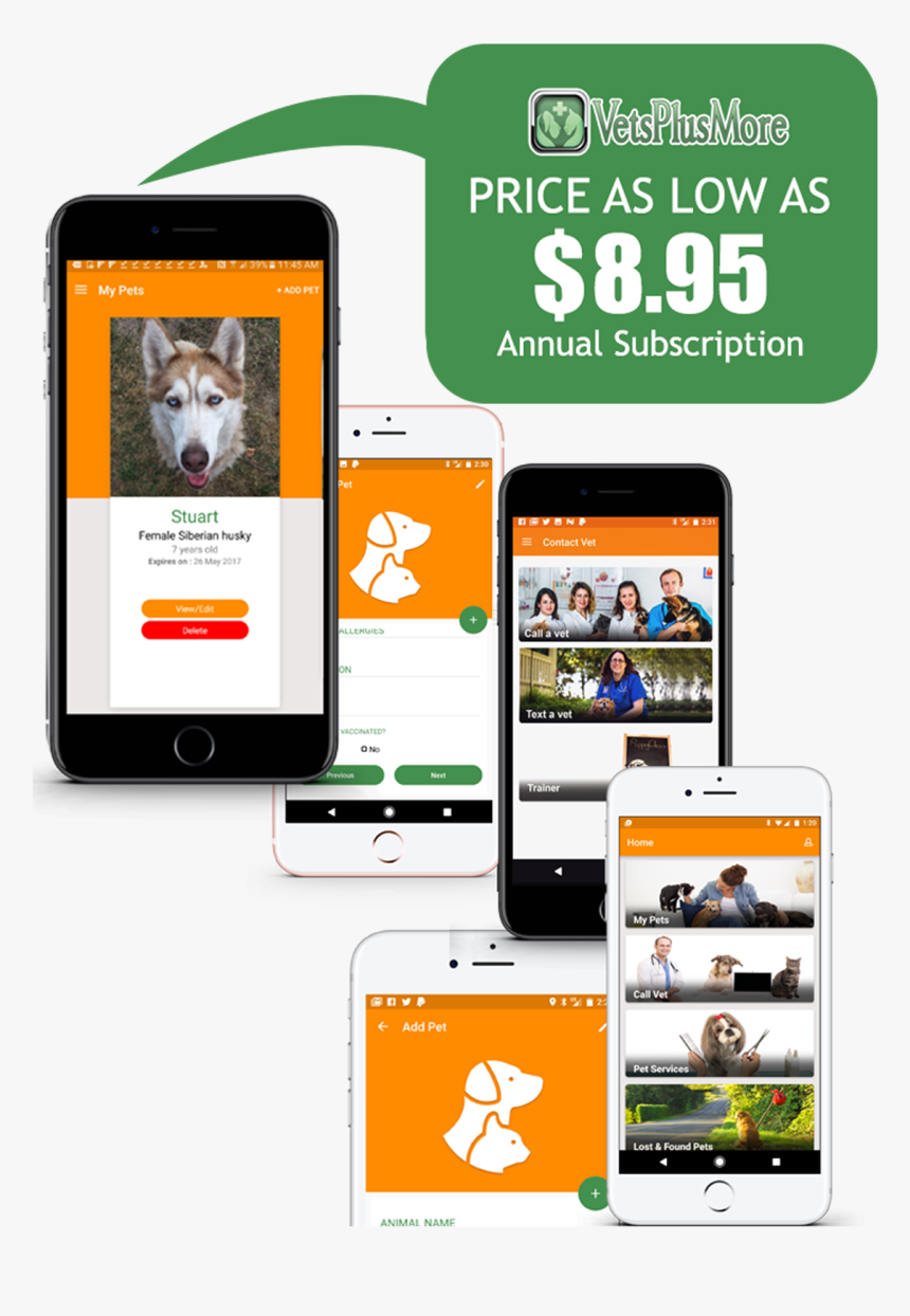 Dog, HD Png Download