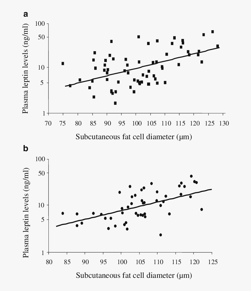 Transparent Fat Albert Png - 2 Ng Ml Size, Png Download