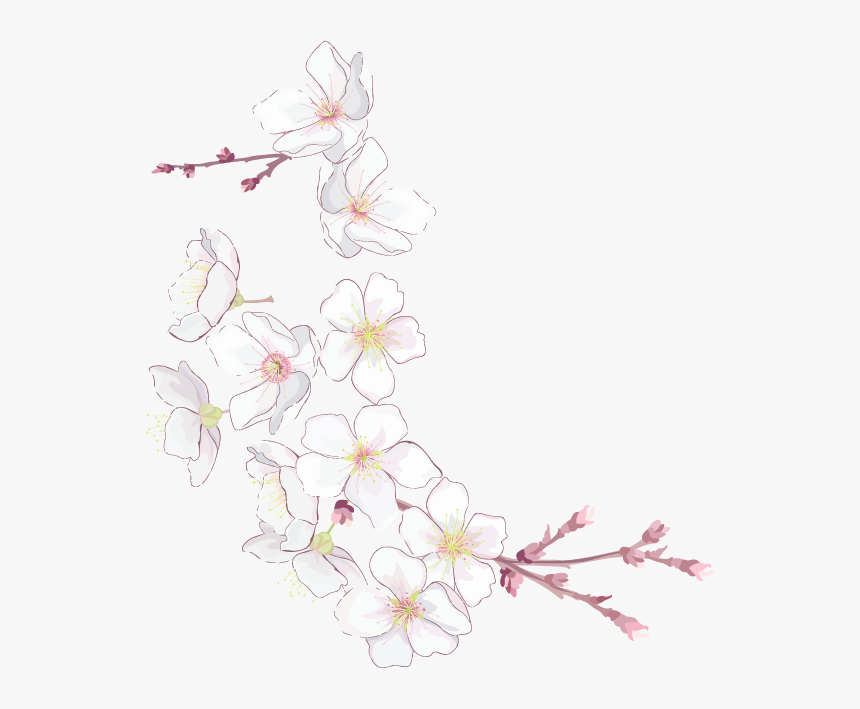 На Февраля 15, - Protector Para J7 2018, HD Png Download