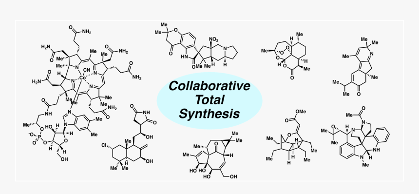 Diagram, HD Png Download