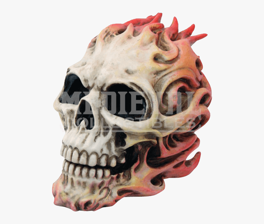 Skull, HD Png Download