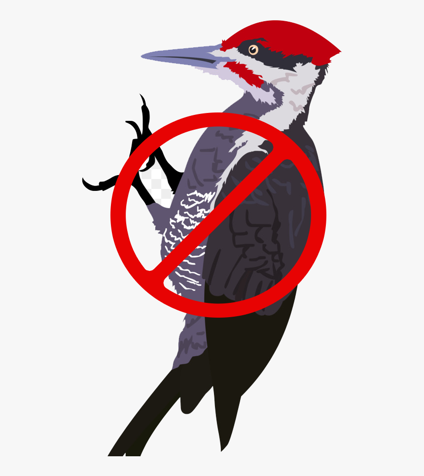 Which Are Mixed In A Proprietary Ratio To Produce The - Pileated Woodpecker Transparent Background, HD Png Download