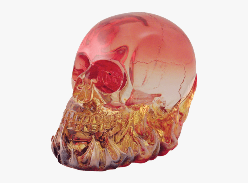Skull, HD Png Download