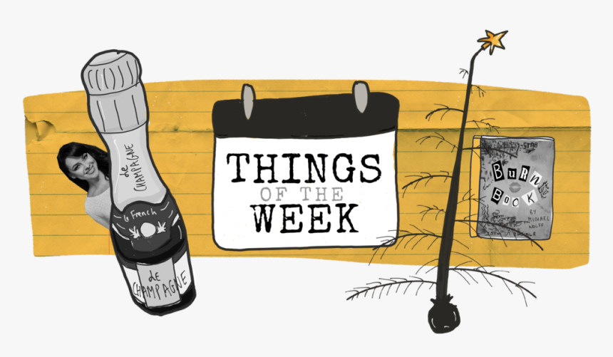 Transparent Mean Girls Png - Champagne, Png Download