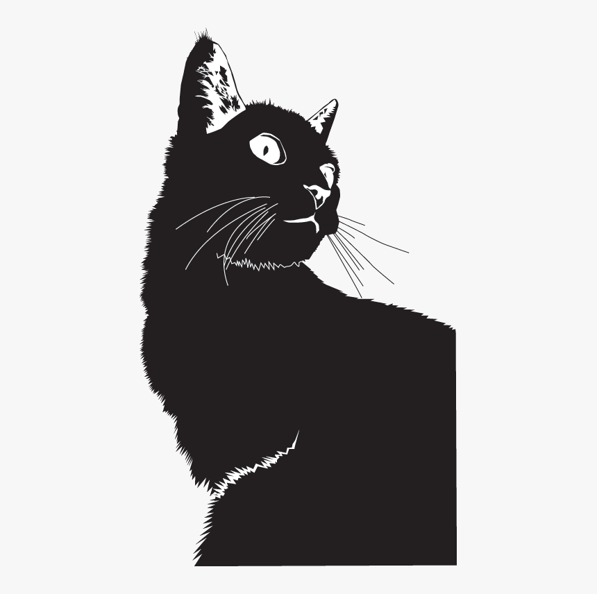 And, HD Png Download