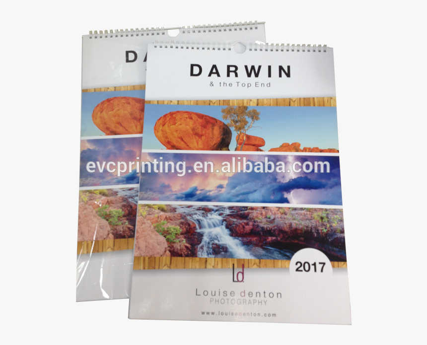 Flyer, HD Png Download