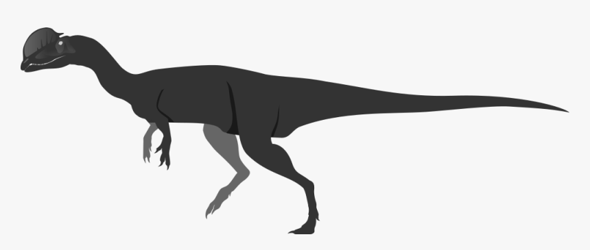 Dilophosaurus - Lesothosaurus, HD Png Download