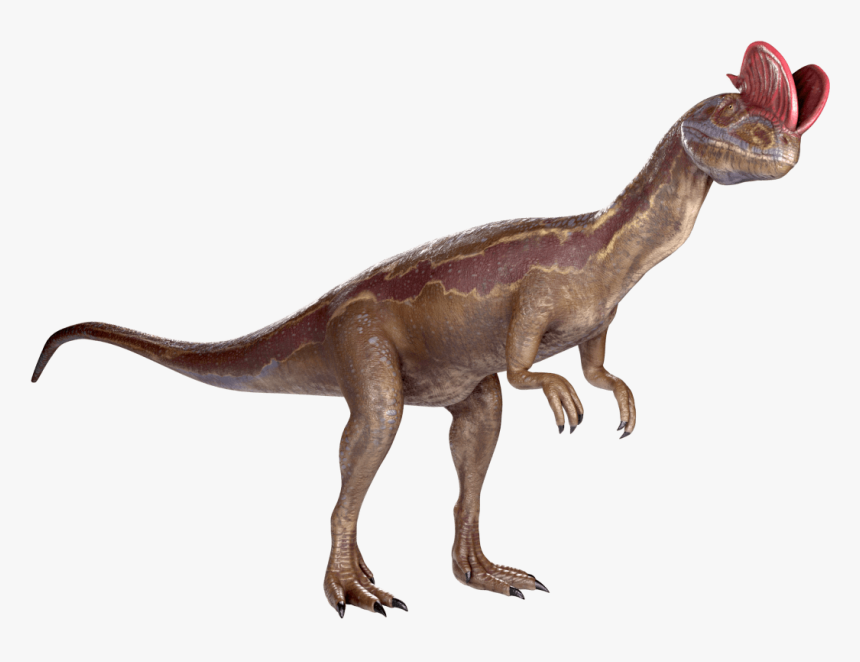 Panacea - Velociraptor, HD Png Download