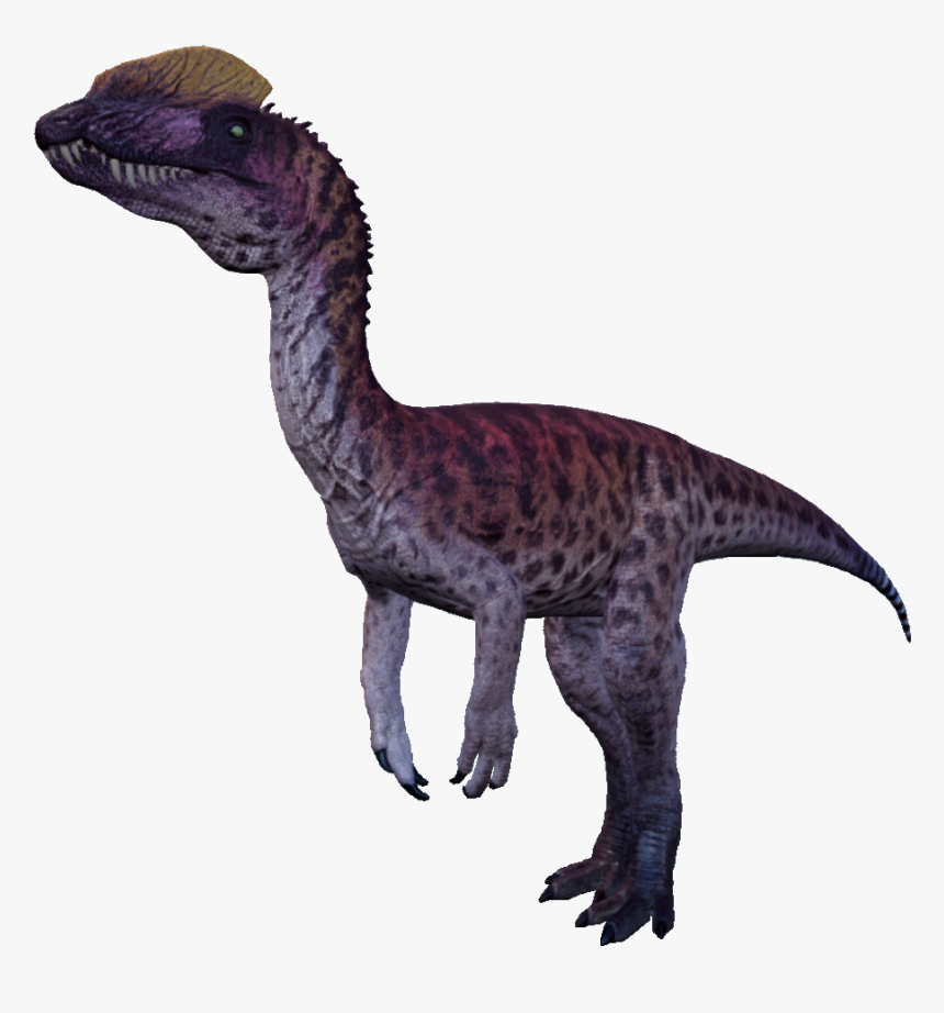 Dilophosaurus The Isle , Png Download - Dilophosaurus The Isle Png, Transparent Png