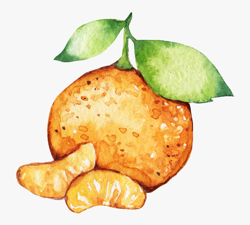 Transparent Tangerine Png - Mandarin Orange, Png Download
