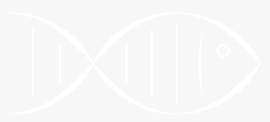 Johns Hopkins White Logo, HD Png Download
