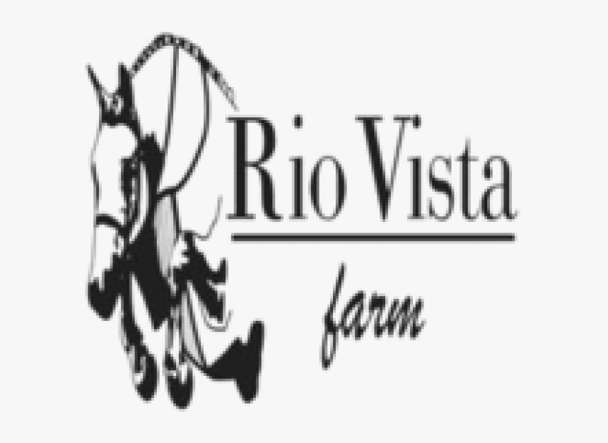 Eventing, HD Png Download