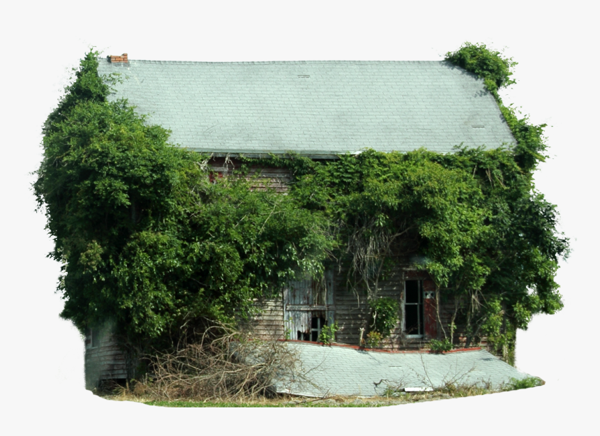 Transparent Old Tree Png - Tree House, Png Download
