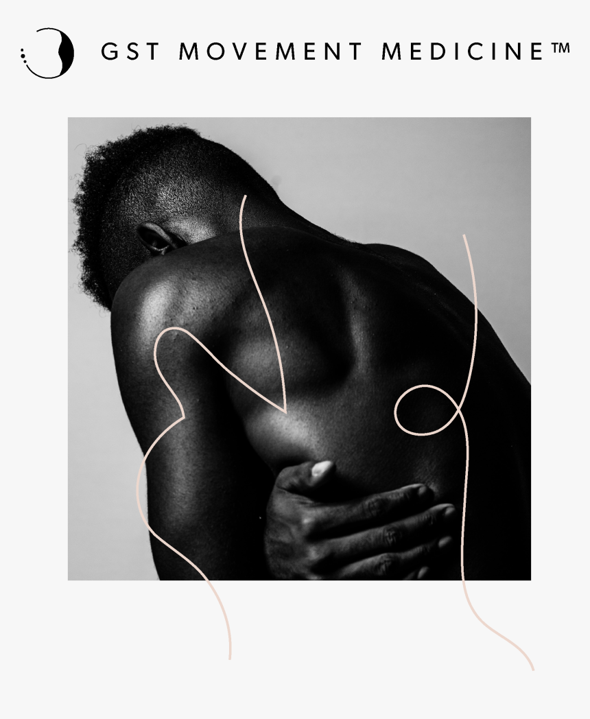 Mountain Gorilla, HD Png Download